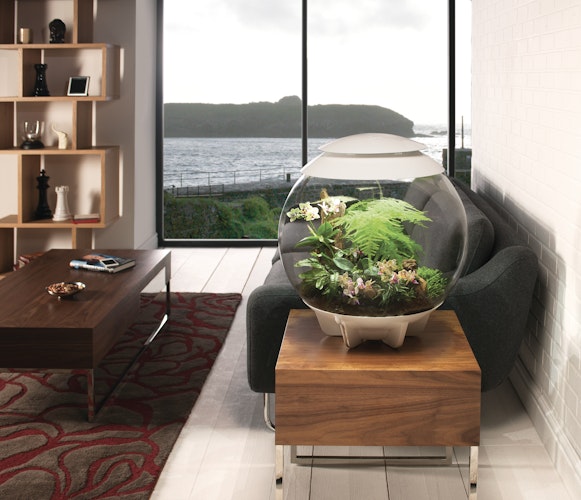 BiOrb Terrarium AIR 60