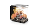 Vorschaubild BiOrb Deko Aquarium FLOW 15 mit MCR - 15 Liter