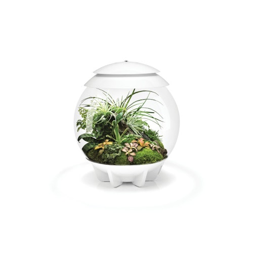 BiOrb Terrarium AIR 30 Bild