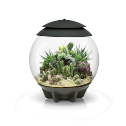biOrb AIR 30 grau (71749)