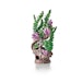 biOrb Korallenriff-Ornament grünBild