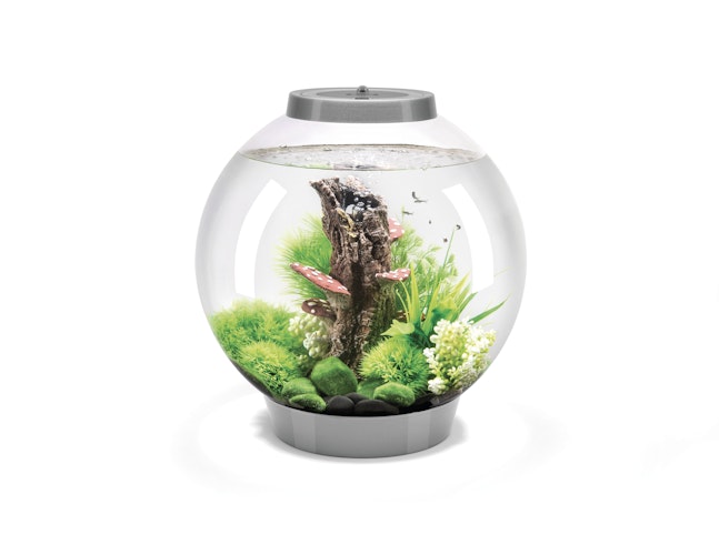 BiOrb Aquarium CLASSIC 30 MCR Bild