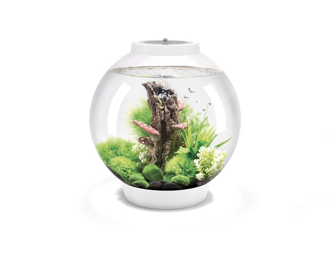 BiOrb Aquarium CLASSIC 30 MCR