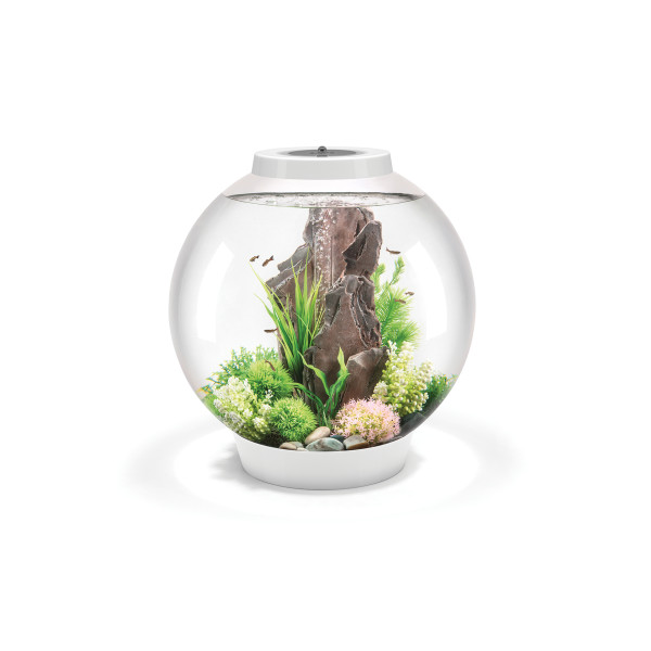 Vorschaubild Galerie BiOrb CLASSIC 60 LED, versch. Farben