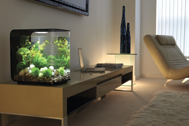 BiOrb Aquarium FLOW 15 LED Bild