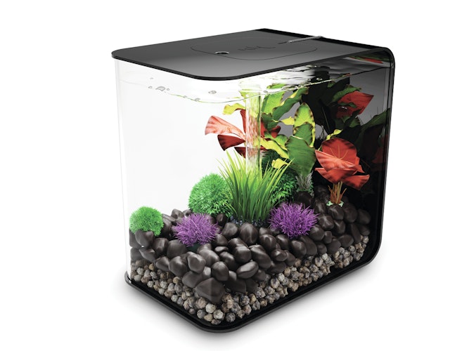 BiOrb Aquarium FLOW 30 LED Bild