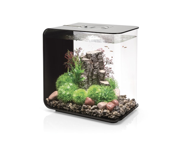 BiOrb Aquarium FLOW 30 LED Bild