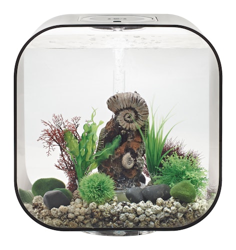 BiOrb Aquarium LIFE 30 MCR