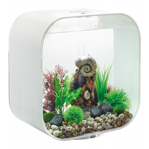 BiOrb Aquarium LIFE 30 MCR