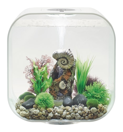 BiOrb Aquarium LIFE 30 MCR