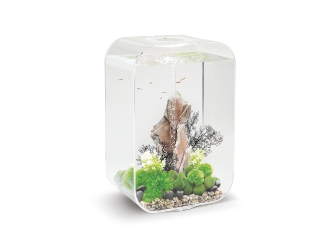 BiOrb Aquarium LIFE 60 MCR Bild