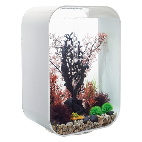 BiOrb Aquarium LIFE 60 MCR Bild