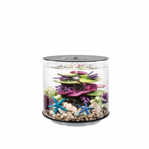 BiOrb Aquarium TUBE 15 MCR Bild