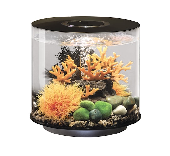 BiOrb Aquarium TUBE 15 MCR Bild