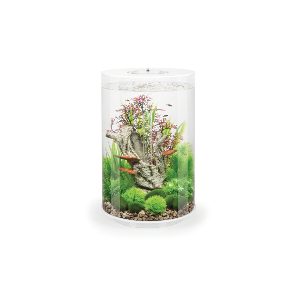 Vorschaubild Galerie BiOrb TUBE 30 LED, versch. Farben