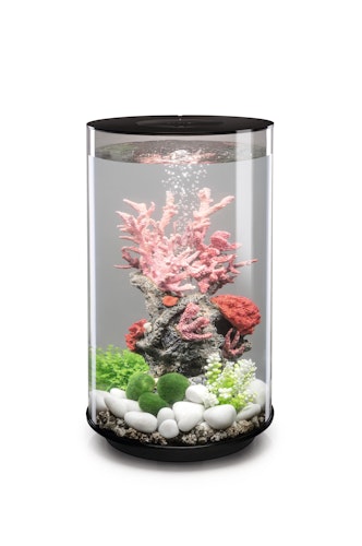 BiOrb Aquarium TUBE 30 MCR Bild