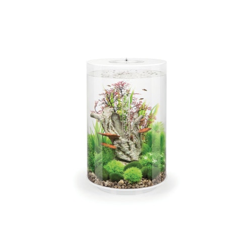 BiOrb Aquarium TUBE 30 MCR Bild