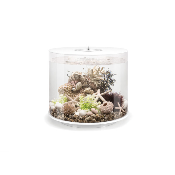 Vorschaubild Galerie BiOrb TUBE 35 LED, versch. Farben