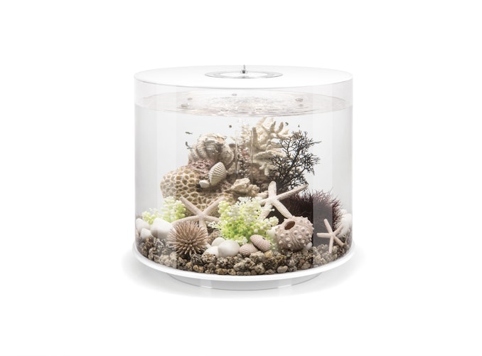 BiOrb Aquarium TUBE 35 MCR Bild