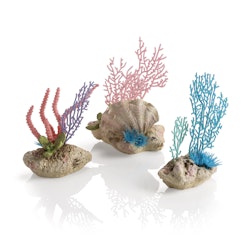 biOrb Korallenfächer & Muschel Set