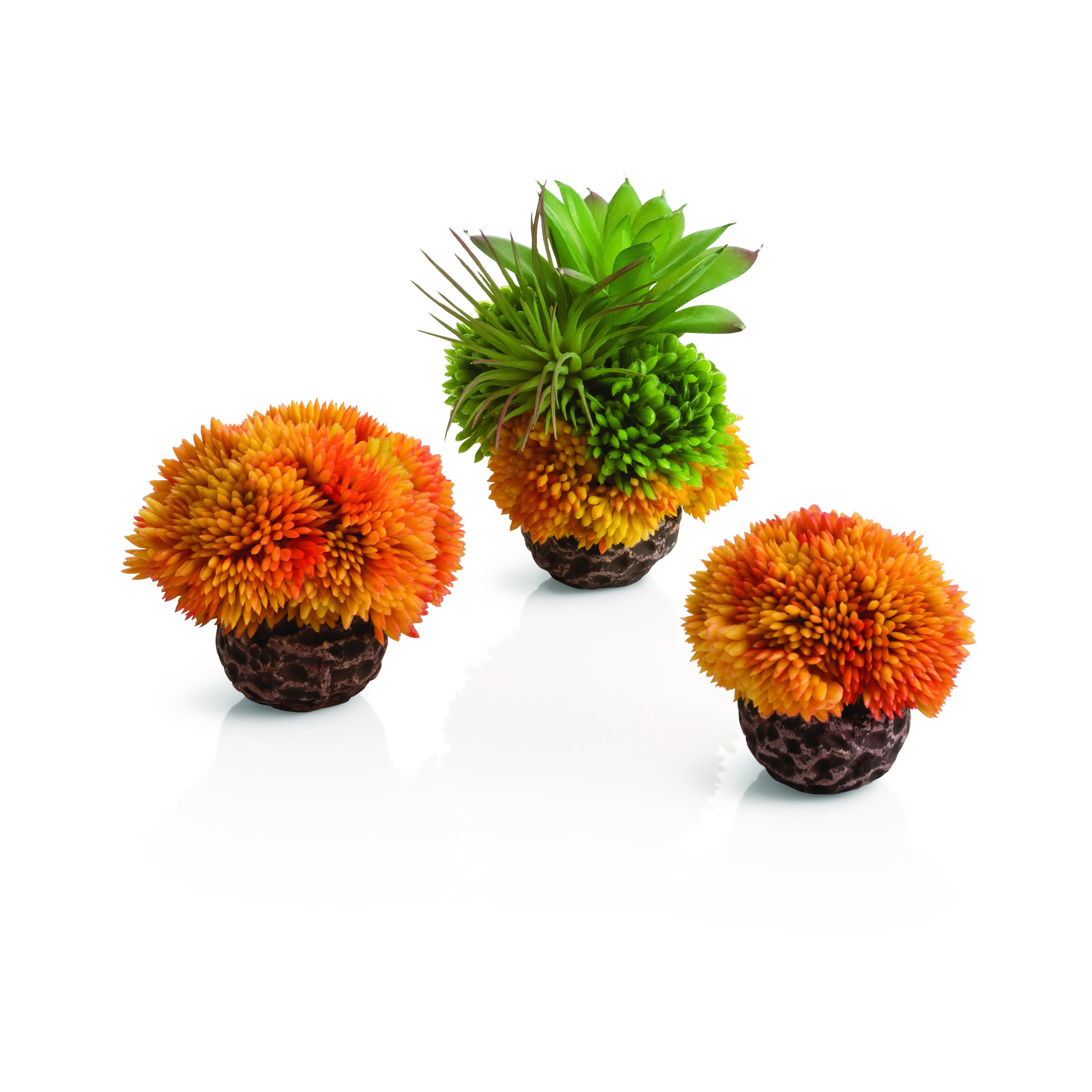 Vorschaubild Galerie biOrb Korallenball Set orange
