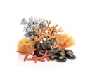 Vorschaubild biOrb Decor Set Orange Flames