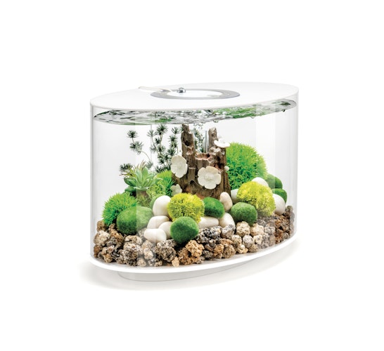BiOrb Aquarium LOOP 15 LED