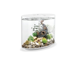 BiOrb Aquarium LOOP 30 LED