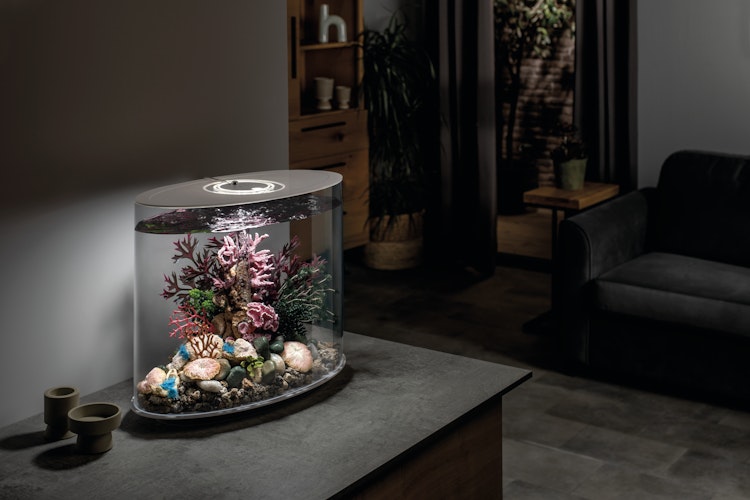 BiOrb Aquarium LOOP 30 LED