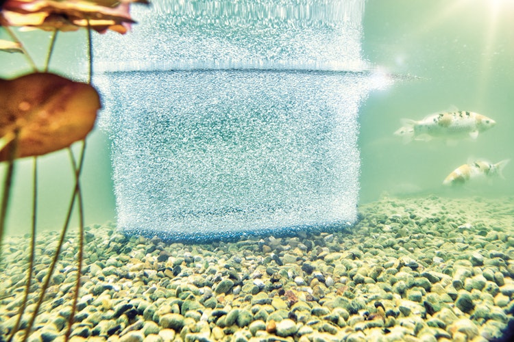AquaOxy Belüfterring D 60 cm