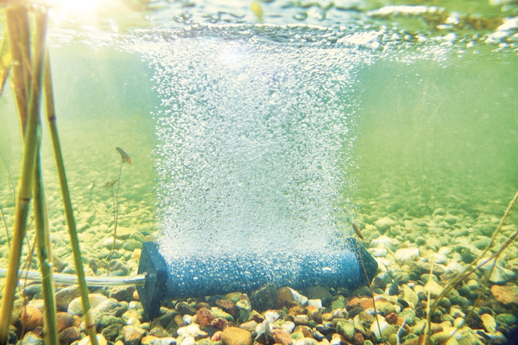 AquaOxy Belüfterstab S