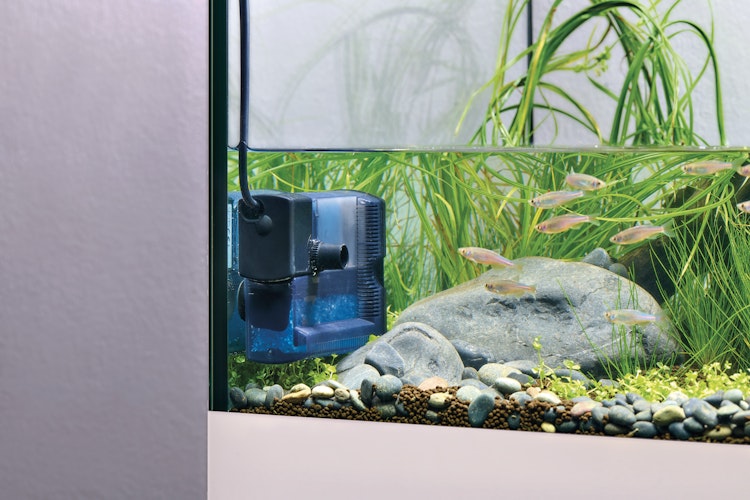 EDEN FIN 50 Innenfilter