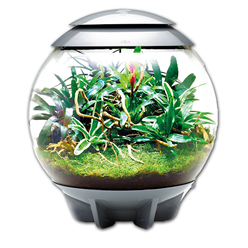 BiOrb Terrarium AIR 60