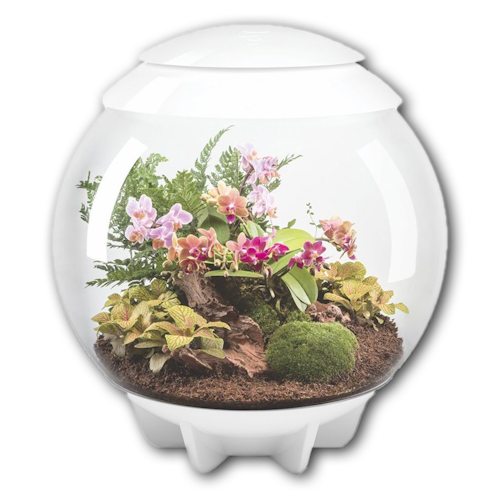 BiOrb Terrarium AIR 60