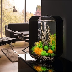 biOrb Deko Aquarium LIFE 60 mit MCR - 60 Liter