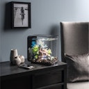 Vorschaubild BiOrb Deko Aquarium FLOW 30 mit MCR - 30 Liter