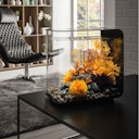 Vorschaubild BiOrb Deko Aquarium FLOW 30 mit MCR - 30 Liter