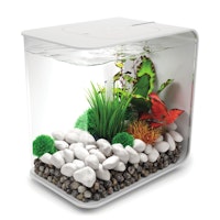 BiOrb Deko Aquarium FLOW 15 mit MCR - 15 Liter