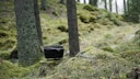 Vorschaubild Petromax Dutch Oven Feuertopf