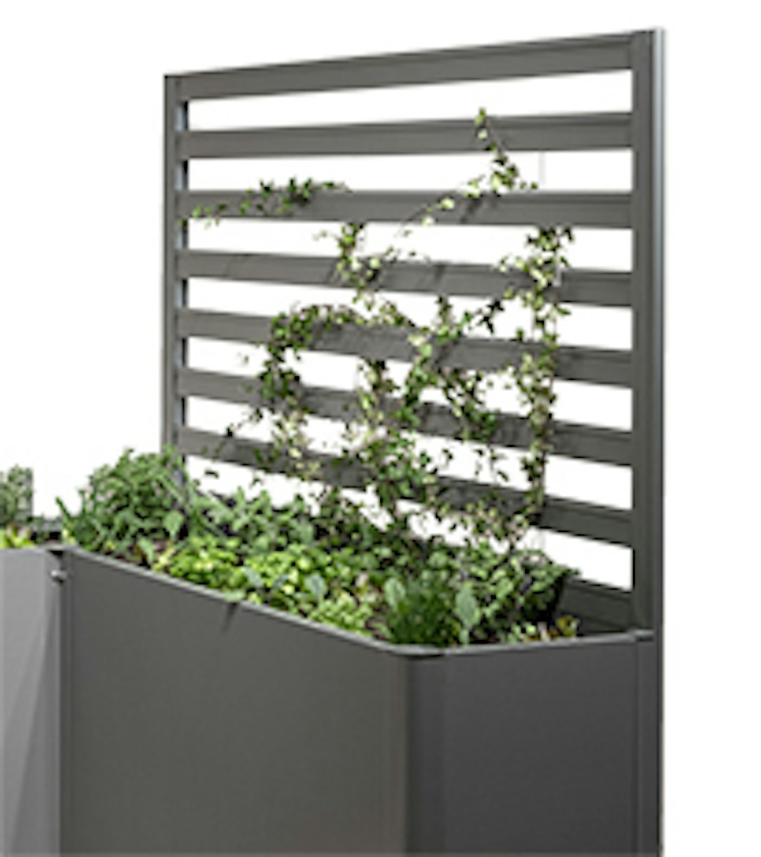 Biohort Rankgitter für Hochbeet 4 m Seite quarzgrau-metallic