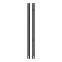 TraumGarten Metall-Torpfosten 2er Set für Einzeltore