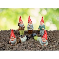 Heissner Waldmänner, Serie mit 5 Gartenzwergen (06222-00)