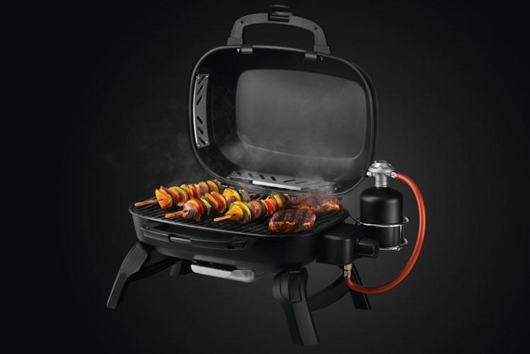 NAPOLEON Gasgrill TRAVELQ 240