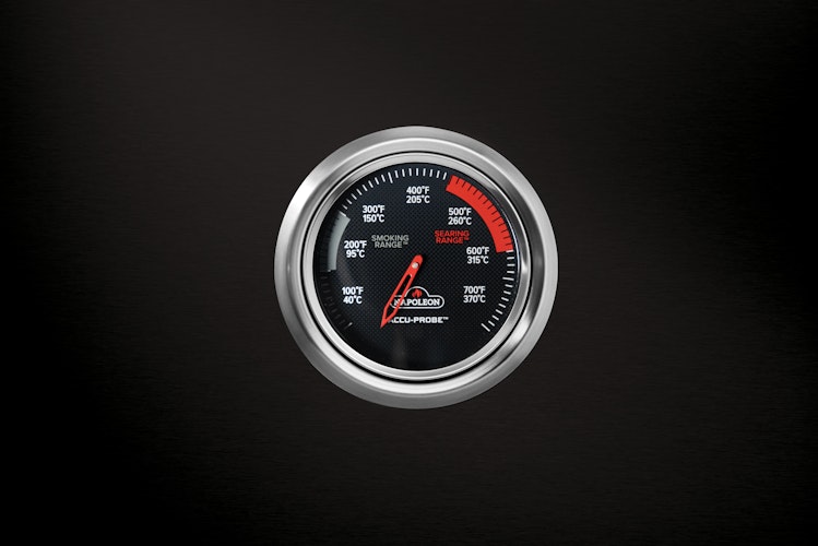 NAPOLEON Gasgrill Prestige 500, Schwarz