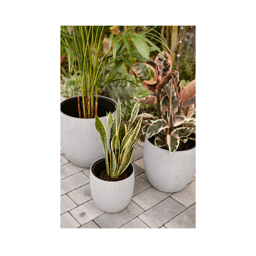 Klocke Design Blumentopf Betonoptik ⌀ 30 cm x H 29 cm