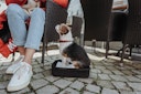 HUNTER Flugtasche Rucksack Miles 30 x 22 x 45 Centimeter Hundetransport
