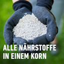 COMPO Rasen-Langzeitdünger 20 kg für 800 m²