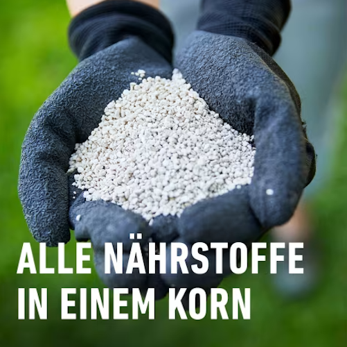 COMPO Rasen-Langzeitdünger 20 kg für 800 m²