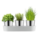 WMF Gourmet Indoor Kräutergarten, 3-teilig
