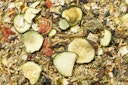 JR FARM Farm Food Hamster 500g Kleintierfutter